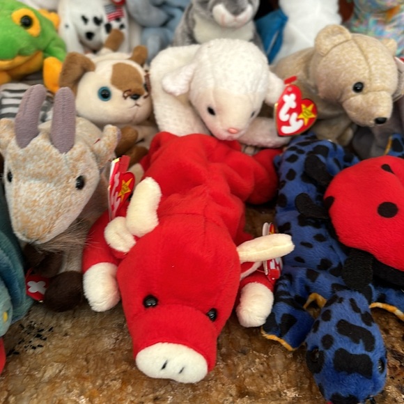 Beanie babies - Picture 8 of 9